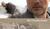 Hintergrund