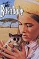 Das Buschbaby