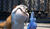 Hintergrund