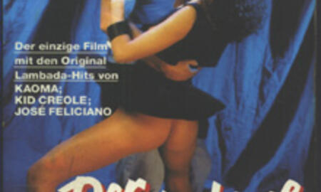 Galerie Foto