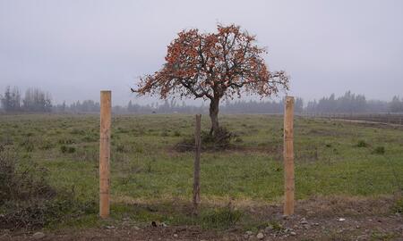 Galerie Foto