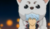Hintergrund