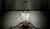 Hintergrund