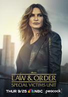 Law & Order: New York - Staffel 27