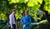 Hintergrund