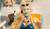 Hintergrund