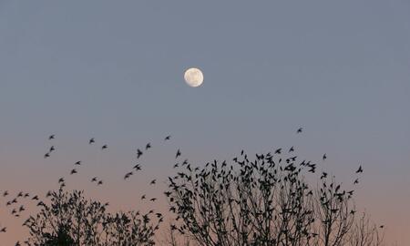 Galerie Foto