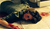 Hintergrund