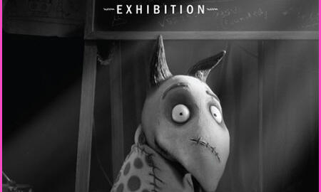 Galerie Foto