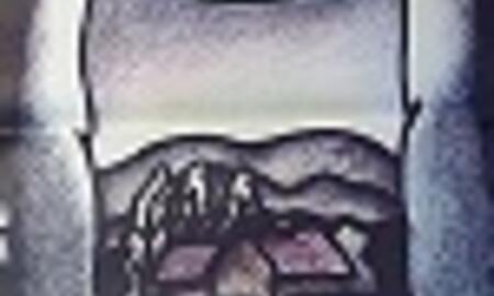 Galerie Foto