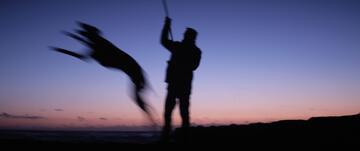 Foto im Vollbild