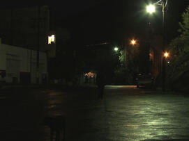 Foto im Vollbild
