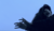 Hintergrund