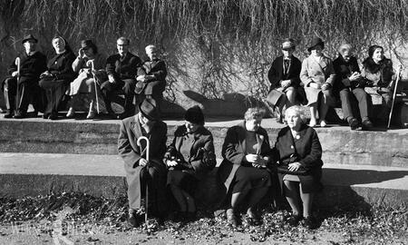 Galerie Foto