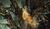 Hintergrund
