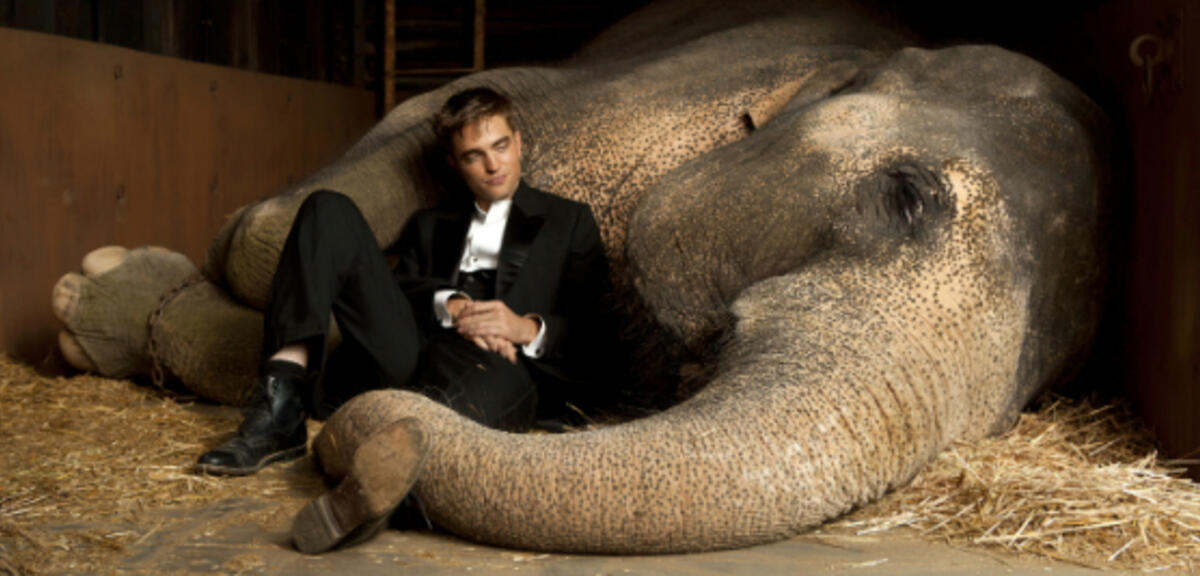 Robert Pattinson in Wasser für die Elefanten