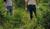 Hintergrund