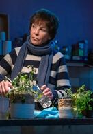 Sturmtief - Der Usedom-Krimi