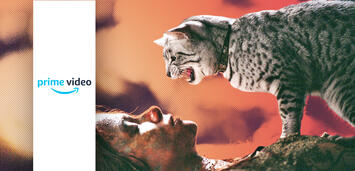 Bild zu:  Catwoman