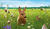 Hintergrund