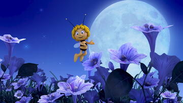Foto im Vollbild