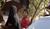Hintergrund