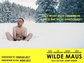 Foto im Vollbild