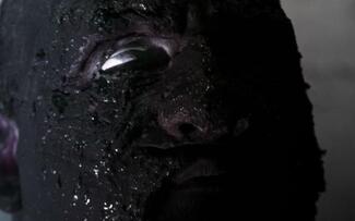 Foto im Vollbild