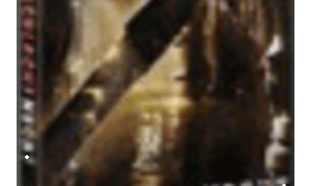 Galerie Foto