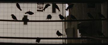 Foto im Vollbild