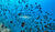 Hintergrund
