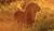 Hintergrund