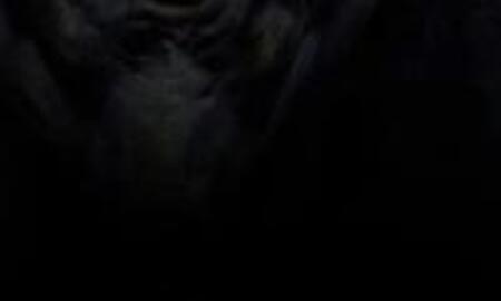 Galerie Foto