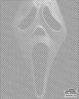 Foto im Vollbild