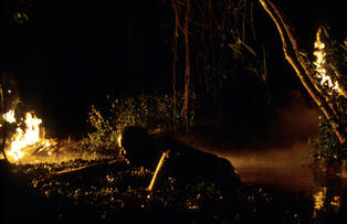 Foto im Vollbild