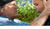 Hintergrund