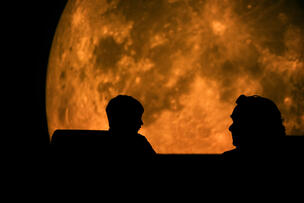 Foto im Vollbild