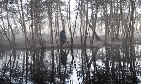 Galerie Foto