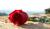 Hintergrund
