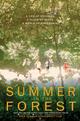 Summer in the Forest 