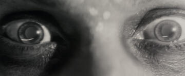Foto im Vollbild