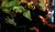 Hintergrund