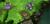 blurry background