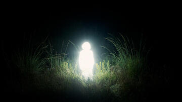 Foto im Vollbild