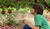 Hintergrund