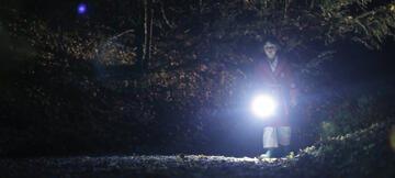 Foto im Vollbild