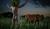 Hintergrund