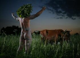 Foto im Vollbild