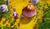 Hintergrund