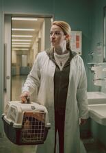 Theresa Wolff – Nebel